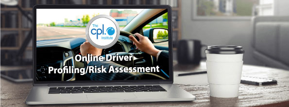 Online Driver Risk Assessment