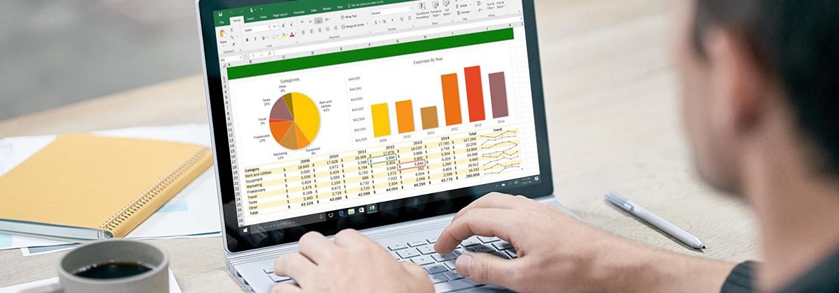 Microsoft Excel Essentials